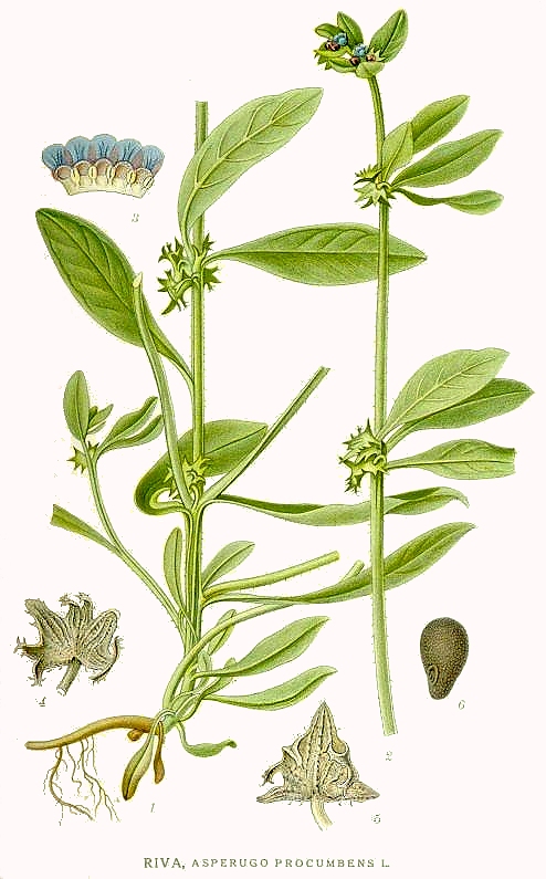 منداب آلمانی